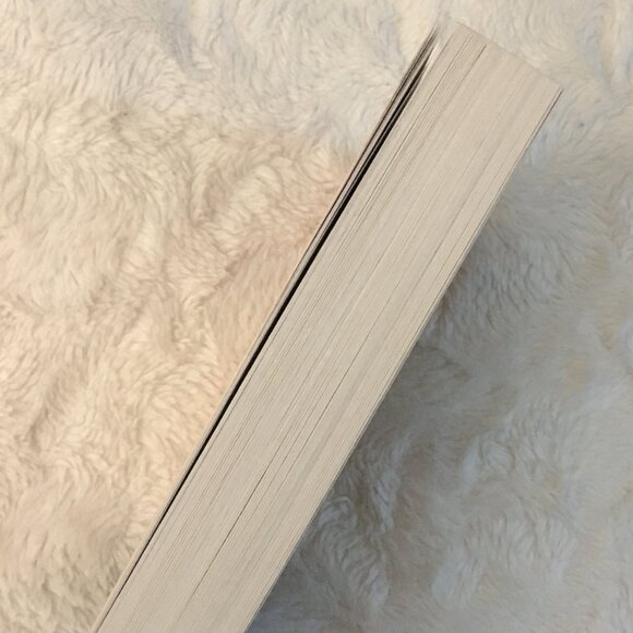 'She Who Became The Sun' By Shelley Parker-Chan - Picture 5 of 5